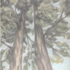 Trees By Dorothy Nuckolls