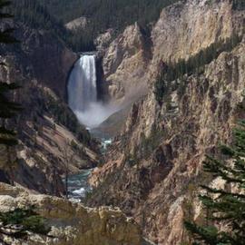 Lower Falls Yellowstone River By David Bechtol