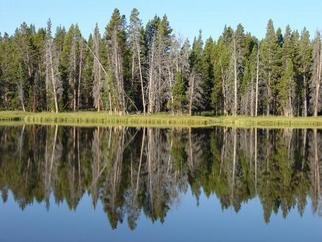 David Bechtol: 'Yellowstone Reflections', 2005 Color Photograph, Landscape. There are many lakes and ponds in Yellowstone. In the early morning stillness, there are many chances to get perfect reflections such as this....