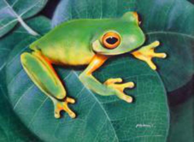 Artist Judy Benson. 'Green Frog' Artwork Image, Created in 2003, Original Painting Acrylic. #art #artist