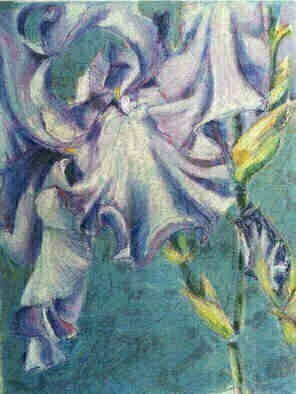 Donna Gallant: 'Lacey', 2000 Mixed Media, Floral.  This piece is soft pastel onto of a mono print.  It's soft and lacey in feel and represents this lilac velvety iris. ...