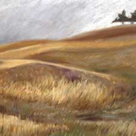 Prairie trees  By Donna Gallant