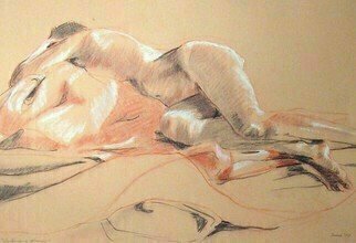 Donna Gallant: 'Reclining Woman', 2008 Pastel, Figurative.  The way the light moves on the figure is always a tricker for this artist and this piece especially lends itself to this point of view.  Drawn from a live model is the inspiration for this piece. ...