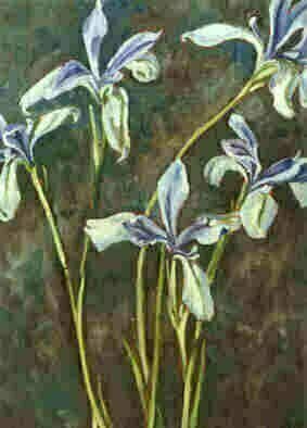Donna Gallant: 'Spring Irises', 2001 Oil Painting, Floral.  A lovely delicate iris is executed in this piece. ...