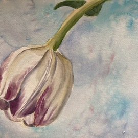 bowing tulip  By Donna Gallant