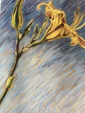 Donna Gallant: 'day lily 3', 1998 Pastel, Floral. A view of the day lily with one bloom open and a bud standing by. Part of a trio. ...