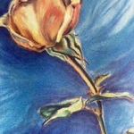 Flowering Rose, Donna Gallant