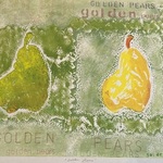 golden pears By Donna Gallant