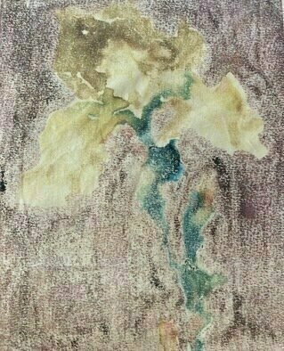 Donna Gallant: 'iris', 1987 Monoprint, Floral. I like the unpredictable effects of mono- printing. This l piece is very delicate at the same time but it impressionistic and seems very fluid...