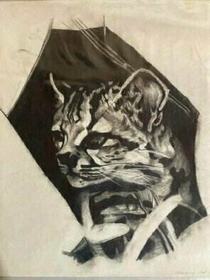 Donna Gallant: 'margra', 1982 Charcoal Drawing, Cats. An early piece with an interesting subject. High contrast and pattern. ...