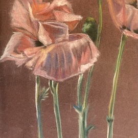 pink poppies  By Donna Gallant