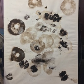 mushroom print 2 By Donald Schwass