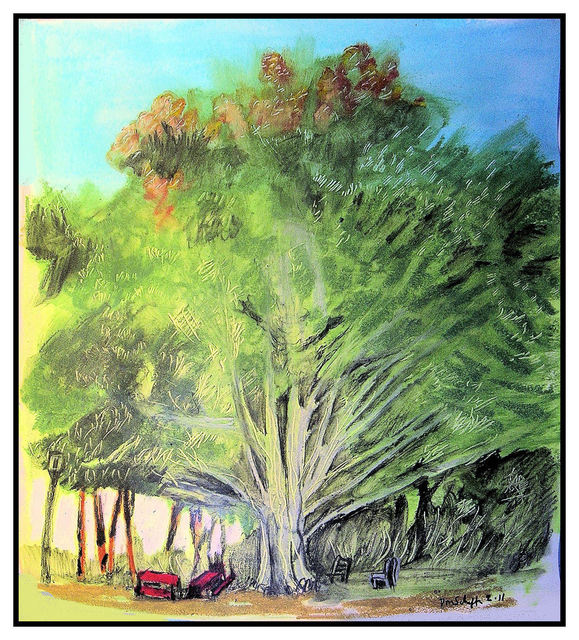 Artist Don Schaeffer. 'Big Tree At  Kings Park' Artwork Image, Created in 2011, Original Watercolor. #art #artist