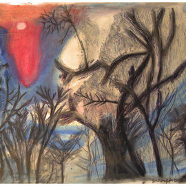 Winter Treetops By Don Schaeffer