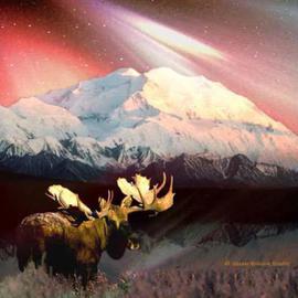 Denali Alaska Before Dawn By Dianne  Roberson