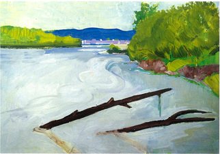 Dario Raffaele Orioli: 'river sava zagreb', 1990 Oil Painting, Landscape. River inspired me...