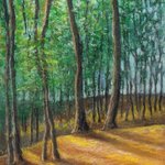 Trees In A Forest, Darrell Ross