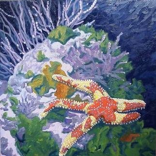 Donna Schaffer  'Rainbow Starfish In Monterey Bay', created in 2001, Original Painting Oil.