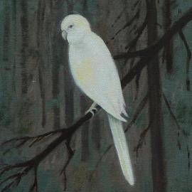 White Bird   Unintended Selfportrait, Lou Posner