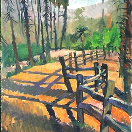 shadows at Citrus Park By Durre Waseem
