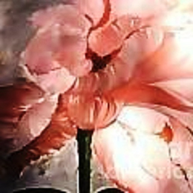 Duygu Kivanc  'Parrot Tulip', created in 2012, Original Pastel.