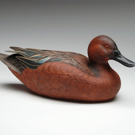 Debra Zelenak: 'Cinnamon Teal Drake', 2001 Wood Sculpture, Birds. Artist Description:  duck, decoy, wildfowl, duck decoy, decorative decoy, woodcarving ...