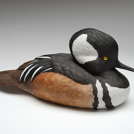 Debra Zelenak: 'Hooded Merganser Drake', 2002 Wood Sculpture, Birds. Artist Description:   duck, decoy, wildfowl, duck decoy, decorative decoy, woodcarving  ...