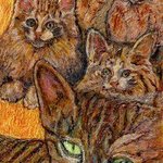 A whole lot of cats By Richard Wynne