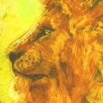 Lion By Richard Wynne