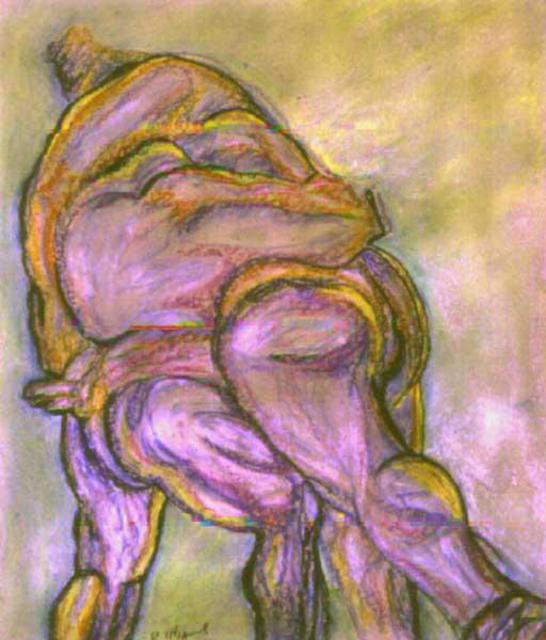 Artist Richard Wynne. 'Sumos' Artwork Image, Created in 2004, Original Photography Color. #art #artist