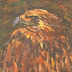 bird of prey By Richard Wynne