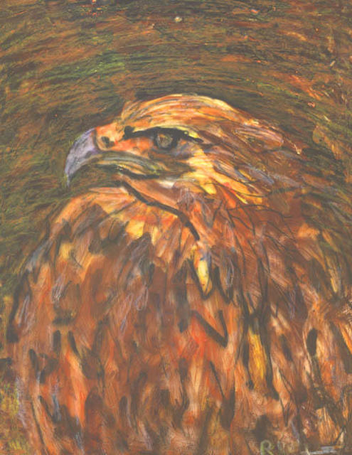Artist Richard Wynne. 'Bird Of Prey' Artwork Image, Created in 2003, Original Photography Color. #art #artist