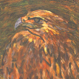 bird of prey By Richard Wynne