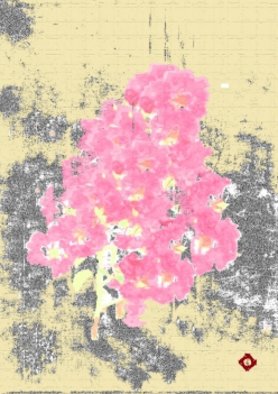 Ehrle Pieri: 'dry roses', 2015 Giclee, Botanical.  Flowers dry roses ...