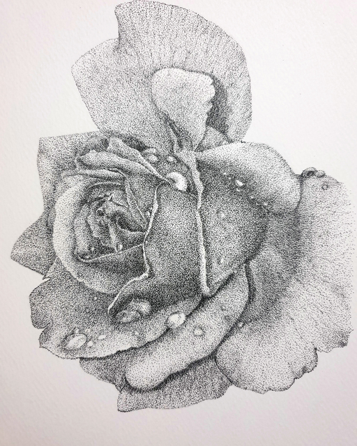Artist Nazanin Majdi. 'Rose Flower' Artwork Image, Created in 2019, Original Drawing Ink. #art #artist