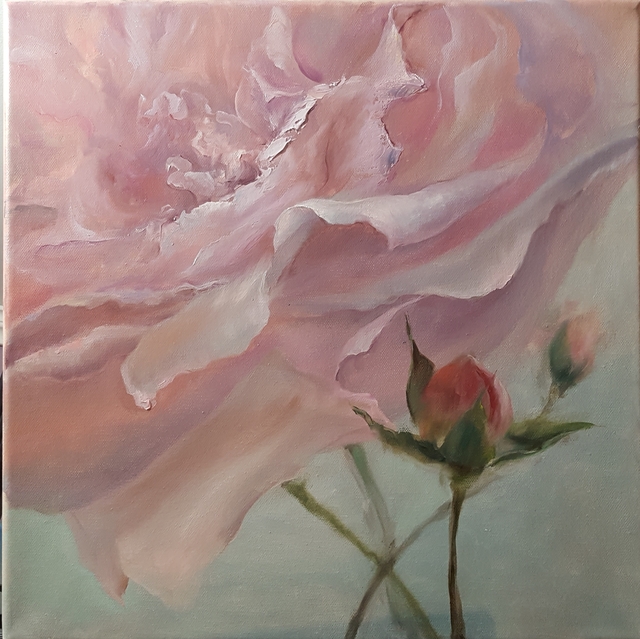 Artist Elena Mardashova. 'Rose In Closeup' Artwork Image, Created in 2020, Original Painting Oil. #art #artist