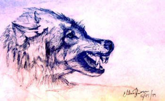 Artist Elisha Sherman. 'Mohegan Wolf' Artwork Image, Created in 2004, Original Painting Oil. #art #artist