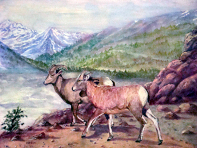 Artist Ellen E Hinson. 'WILD SHEEP OF THE ROCKY MOUNTAINS' Artwork Image, Created in 2007, Original Watercolor. #art #artist