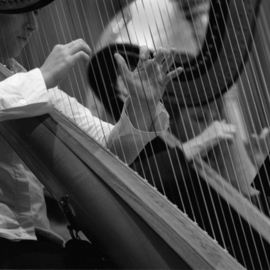 Ellen Rosenberg: 'multiple harps', 2006 Silver Gelatin Photograph, Music. 