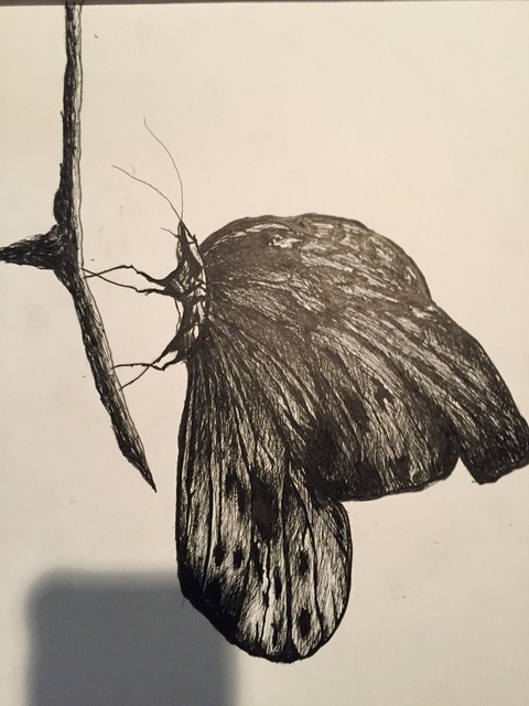 Emerson Perez  'Butterfly', created in 2016, Original Drawing Charcoal.