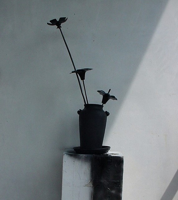 Emilio Merlina  'Black Flowers 010', created in 2010, Original Optic.