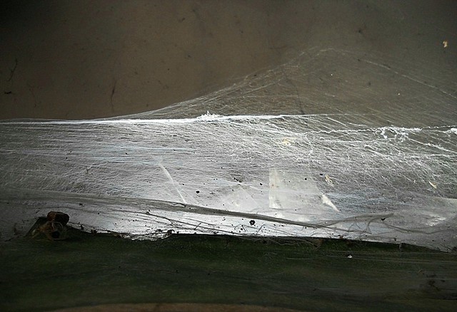Artist Emilio Merlina. 'Daybreak' Artwork Image, Created in 2012, Original Optic. #art #artist