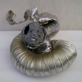Emilio Merlina: 'sloughing off', 2008 Mixed Media Sculpture, Inspirational. 