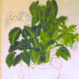 Maria Teresa Fernandes: 'Deguirmendjian making of', 1981 Oil Painting, Botanical. Artist Description:  dimennsion require many, many hues and labor ...