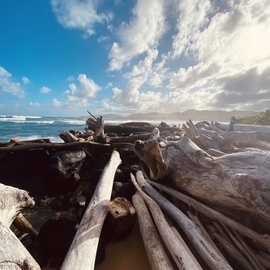 Erin Montanarelli: 'hawaiian winds', 2021 Other Photography, Beach. Artist Description: My first day on Kauai. Stepped foot onto the beach and the wind was blowing so hard, I slumped down to my knees and shot this from a lower angle. Quiet and explosive at the same time. ...