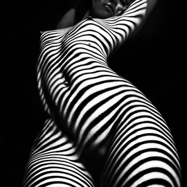 Mikhail Faletkin: 'zebra', 2015 Black and White Photograph, Nudes. Artist Description: I m very attracted to various shadows, as in the reportage genre photography, and in art nude.  The shadows of thezebraare probably quite a hackneyed theme, but sometimes I go back to it, and I m trying to find something new.  In this work, I sort of destructed ...