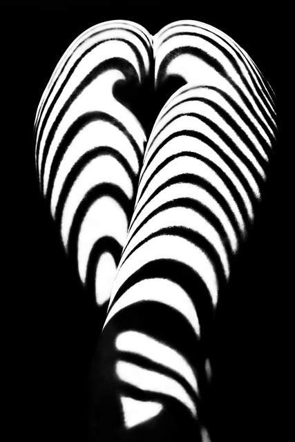 Artist Mikhail Faletkin. 'Zebra Ass' Artwork Image, Created in 2017, Original Photography Digital. #art #artist