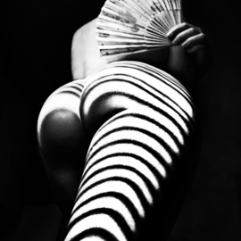 Mikhail Faletkin: 'zebra with a fan', 2017 Black and White Photograph, Nudes. Artist Description: In this work, a fan is added to the shadows of the  zebra  type. The lower angle is used. The shadow of the zebra reaches the middle of the body of the model and, as it were, accumulates in the fan . . .Limited signed edition 2 of 10...