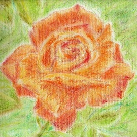 Orange Rose, Luana Pau