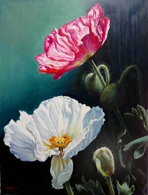 Manuela Facchin Varalda: 'poppies the earth song', 2021 Oil Painting, Floral. this is an unique piece original artwork oil on canvas. ...